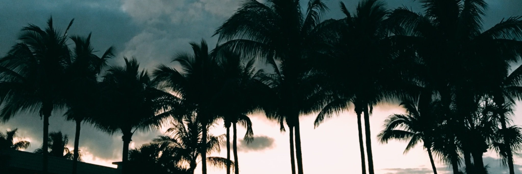 EllieKFletcher's profile banner image