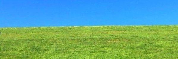 ttolmang_7 Profile Banner