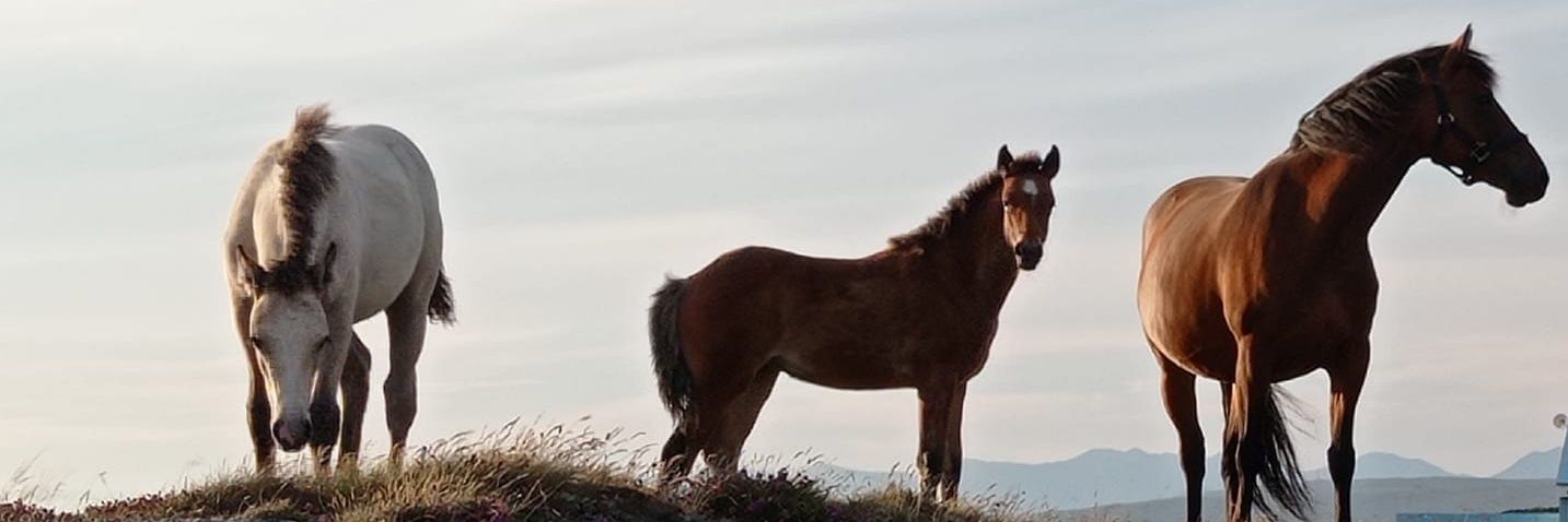 Brian Breathnach banner