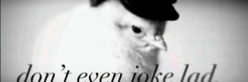 johnwindow banner