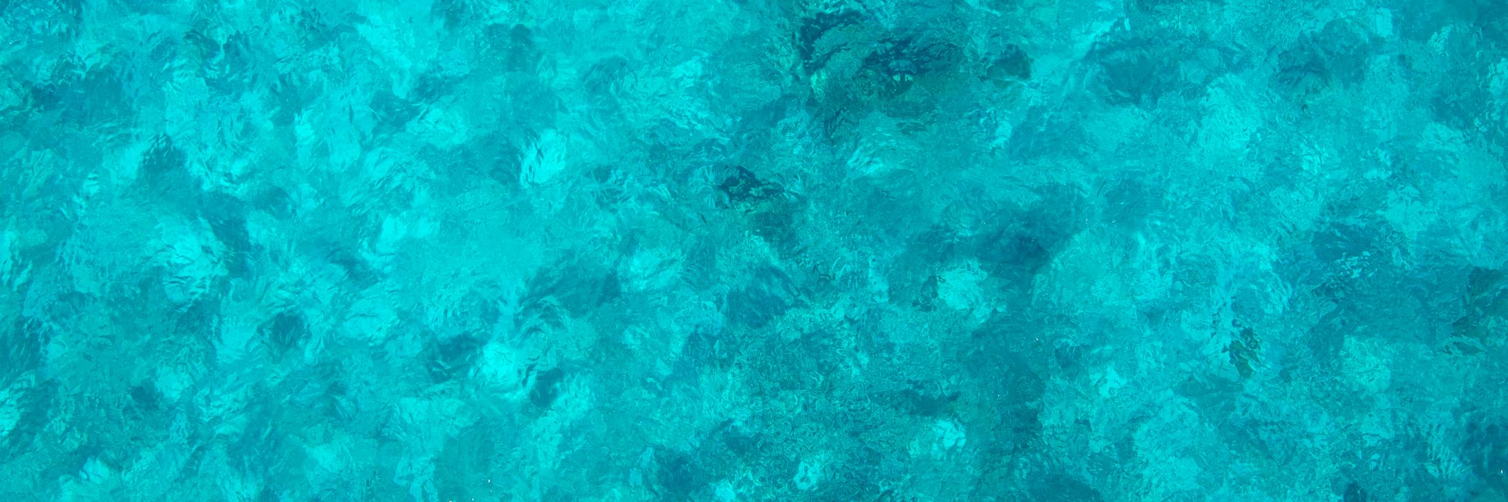 NAGATA Hiroaki banner