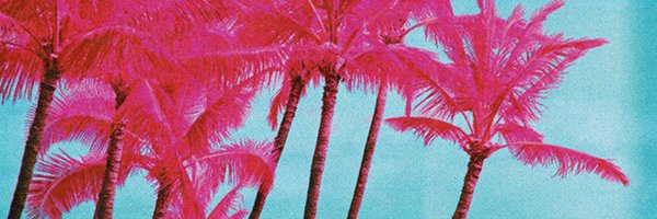 bootswallace Profile Banner