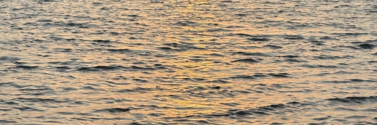 luv_anoud's profile banner image