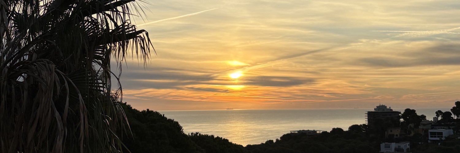 Valerie dissaux banner