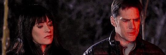 CJ banner