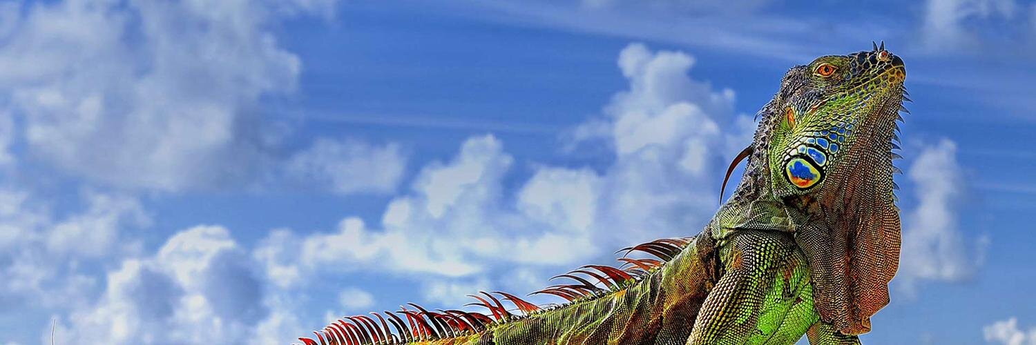 BrentFriedman's profile banner image