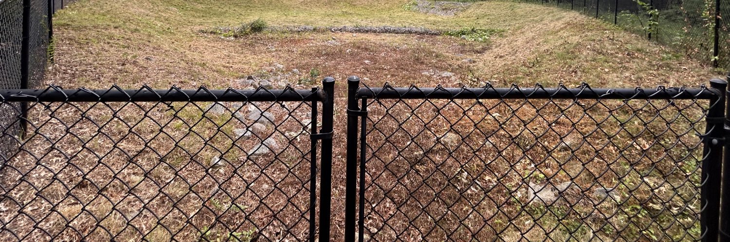 Monkeys of thy circus banner