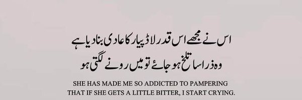 eman_ansariii Profile Banner