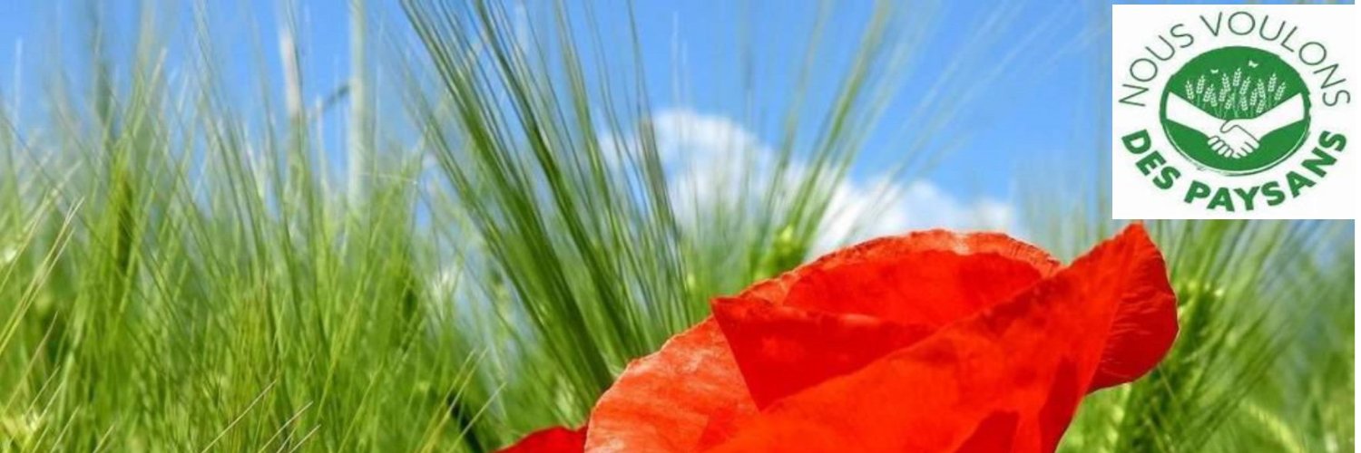 mjthcap21's profile banner image
