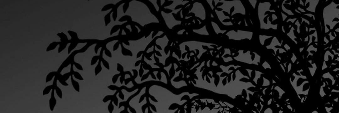 vebrinarestyani's profile banner image