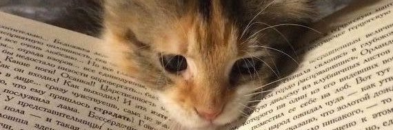 sazclark7's profile banner image