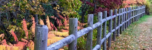 chris__maher Profile Banner