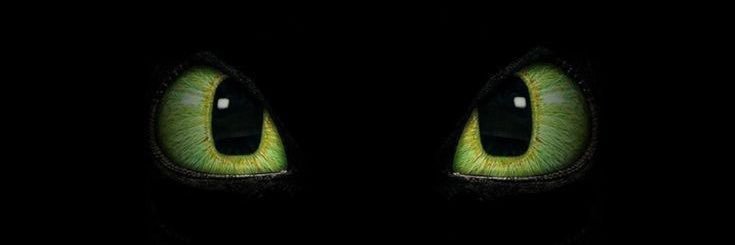A_AungSuBL's profile banner image