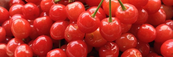 tara_316 Profile Banner