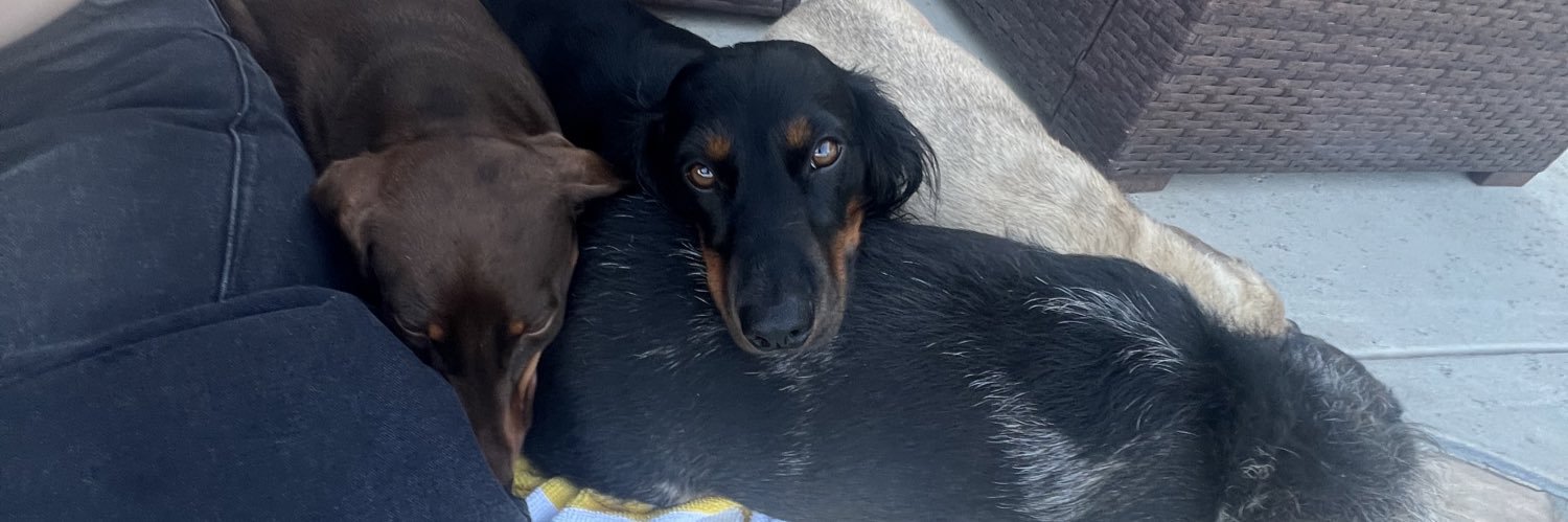 Tinker 🏳️‍⚧️ banner