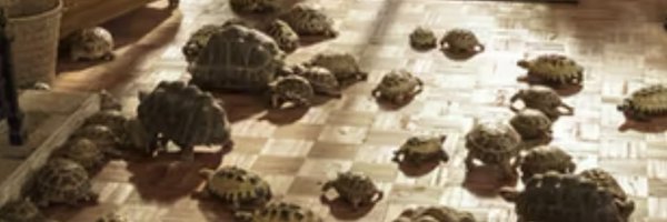 callum_cyrus Profile Banner