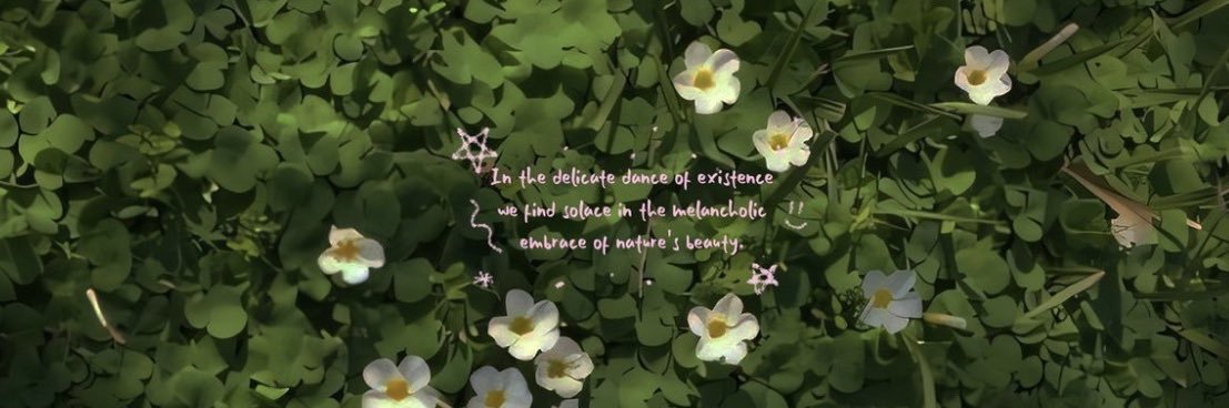 kittyclipwc's profile banner image