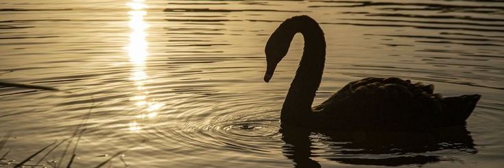 شُـعـاع ☀️ banner