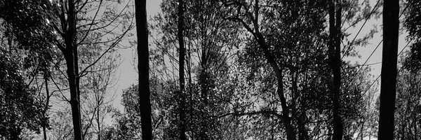 snapsbysuru Profile Banner