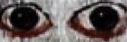 brutalizmxovietik banner