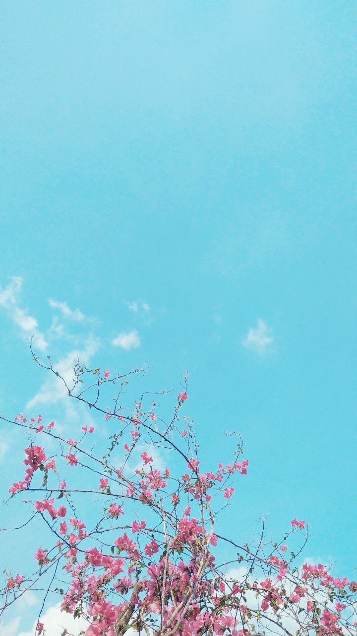 DianPawitri's profile banner image