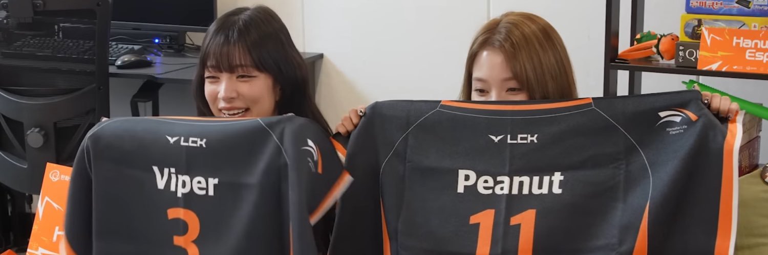 🐼 banner