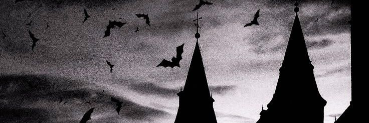 𝖁𝖆𝖊𝖑𝖟𝖊𝖇𝖚𝖇 🦇 banner