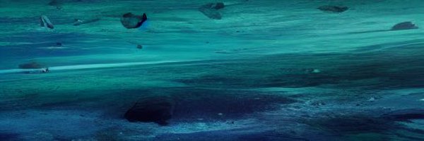 WagnerGallery Profile Banner