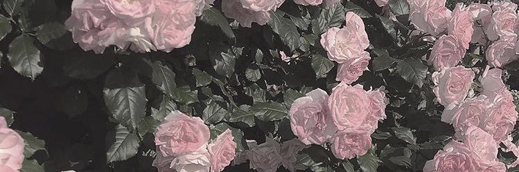 x_runa's profile banner image