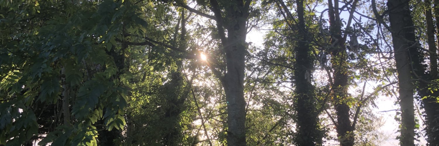 eimearhurley's profile banner image