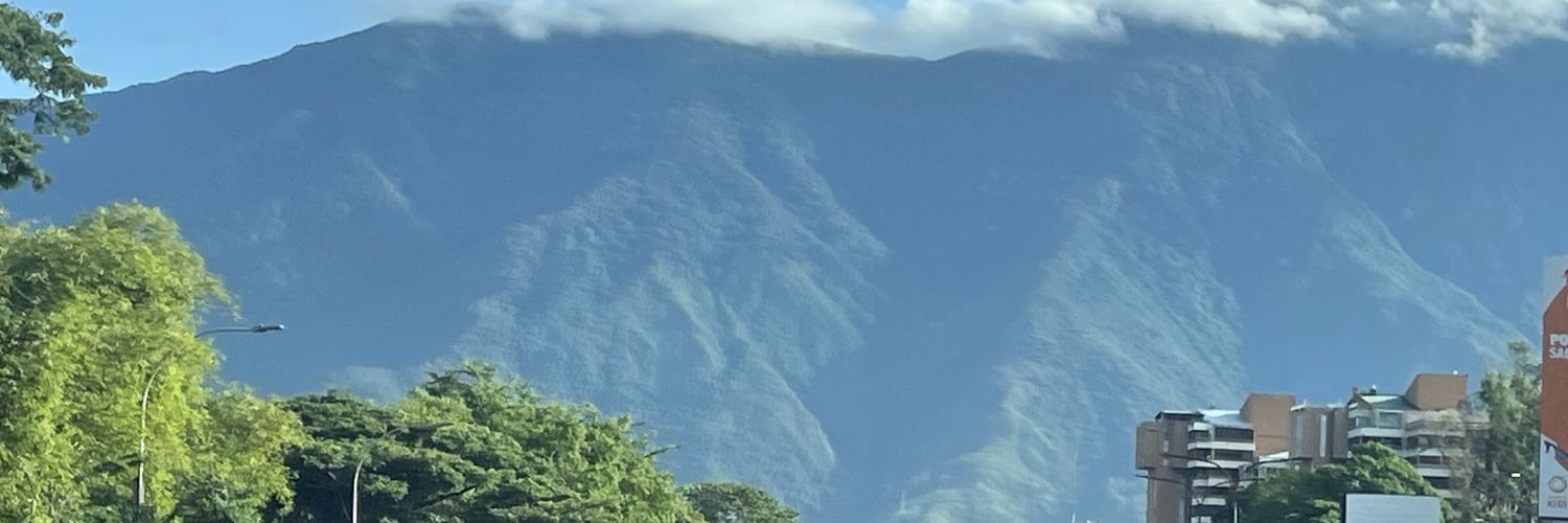 Williams Vivas banner