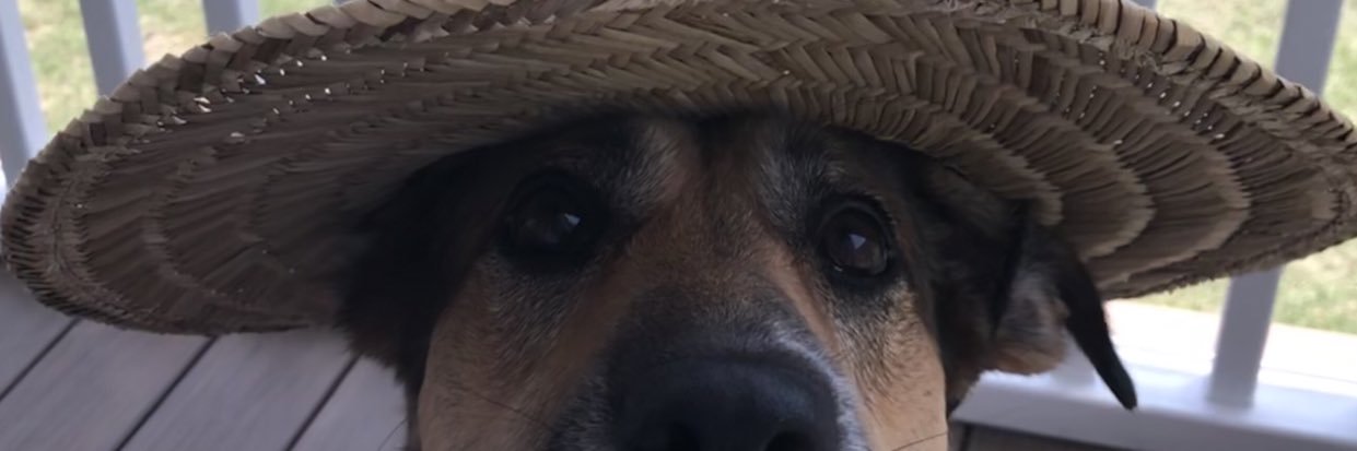 michnels00's profile banner image
