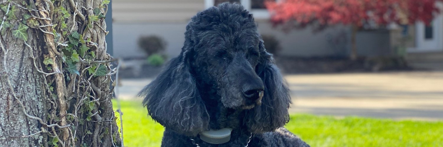 jweisberg55's profile banner image