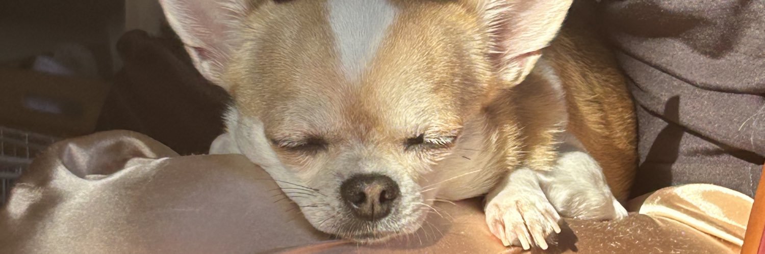 酢酸カーミン banner