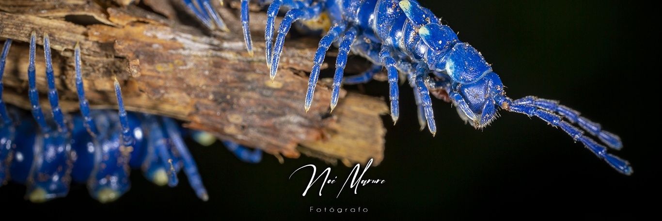 marure9's profile banner image