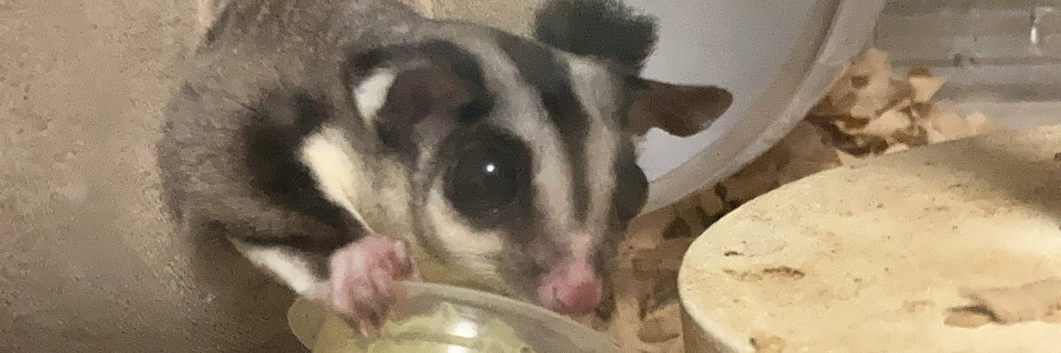 なお/蒼乃ノア banner