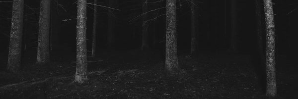 StalkingGFace Profile Banner