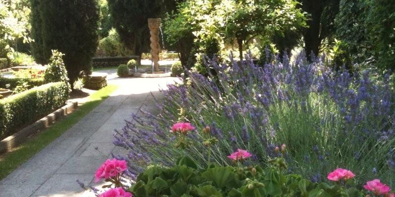 DSbernie's profile banner image