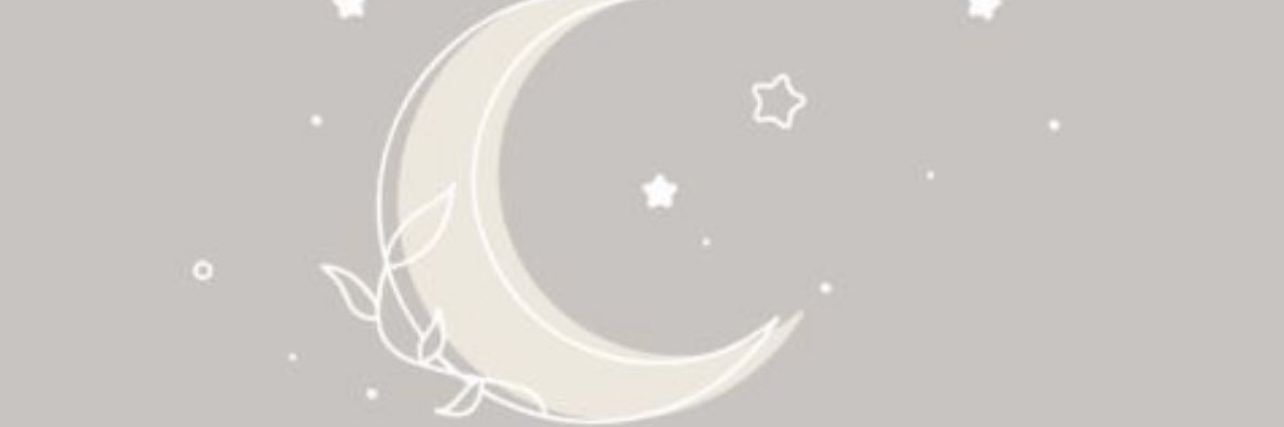 temtem8_'s profile banner image