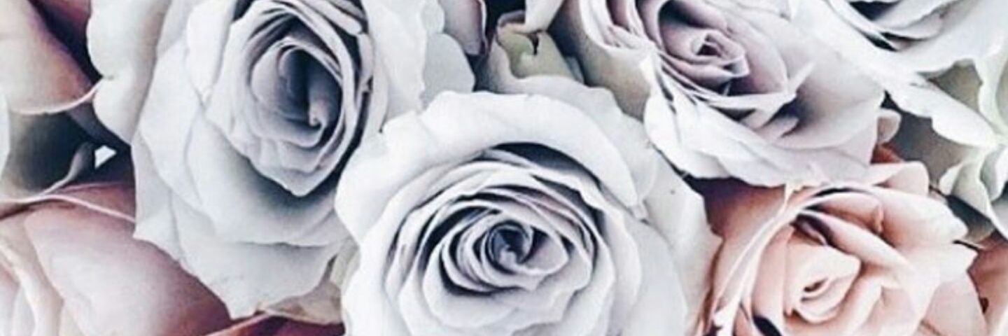 naomifox1308's profile banner image