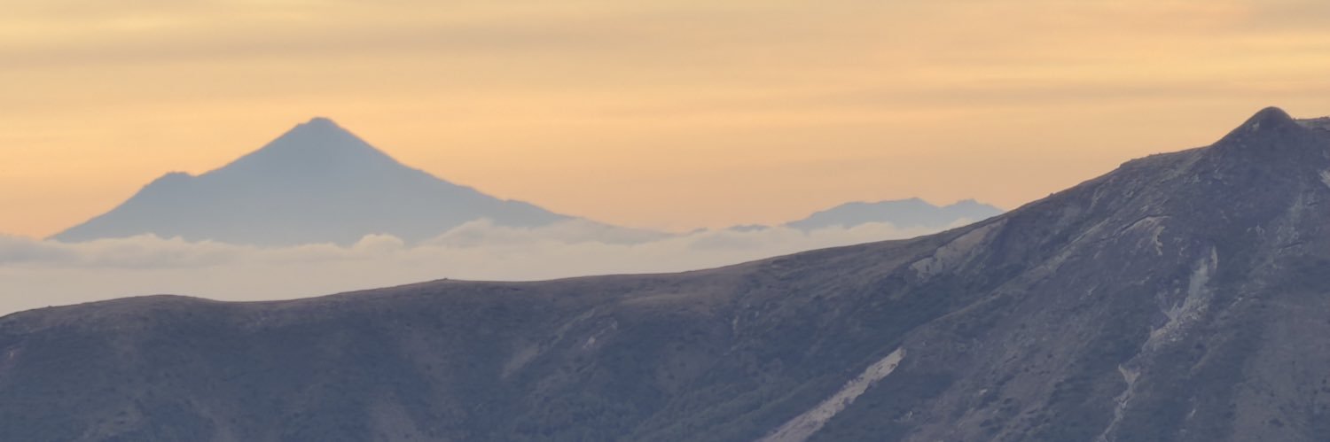 fionamcnae's profile banner image