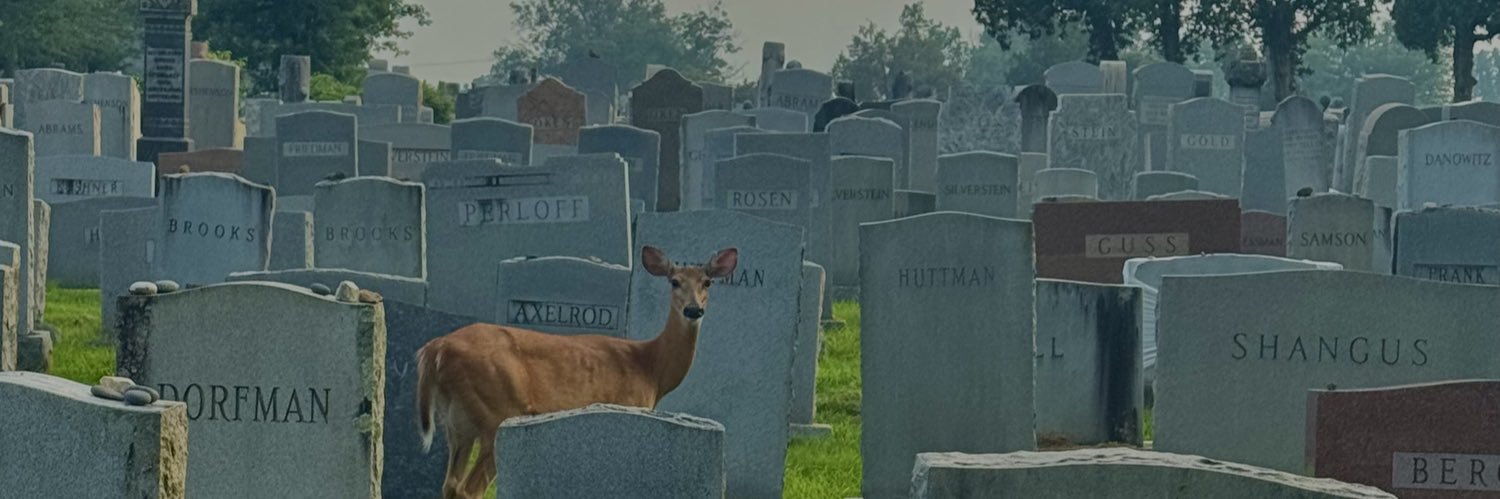 Home Star banner