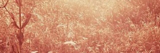 PUBLIC FIGURE banner