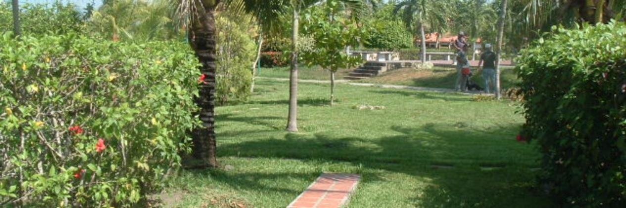 sipalapaz's profile banner image