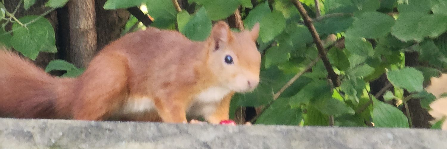 carti #freeEGE! banner