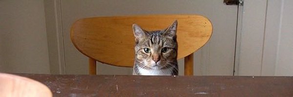 jusevol Profile Banner