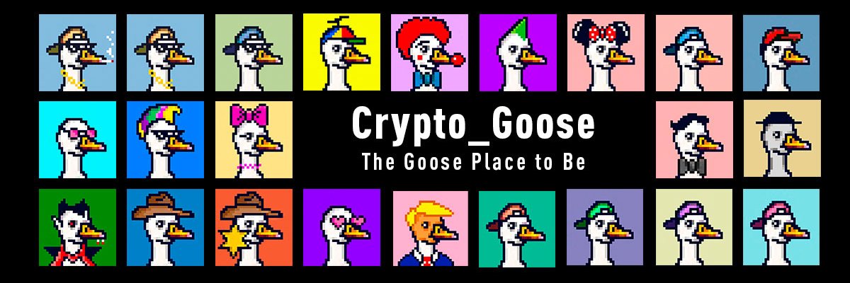 Crypto_Goose banner