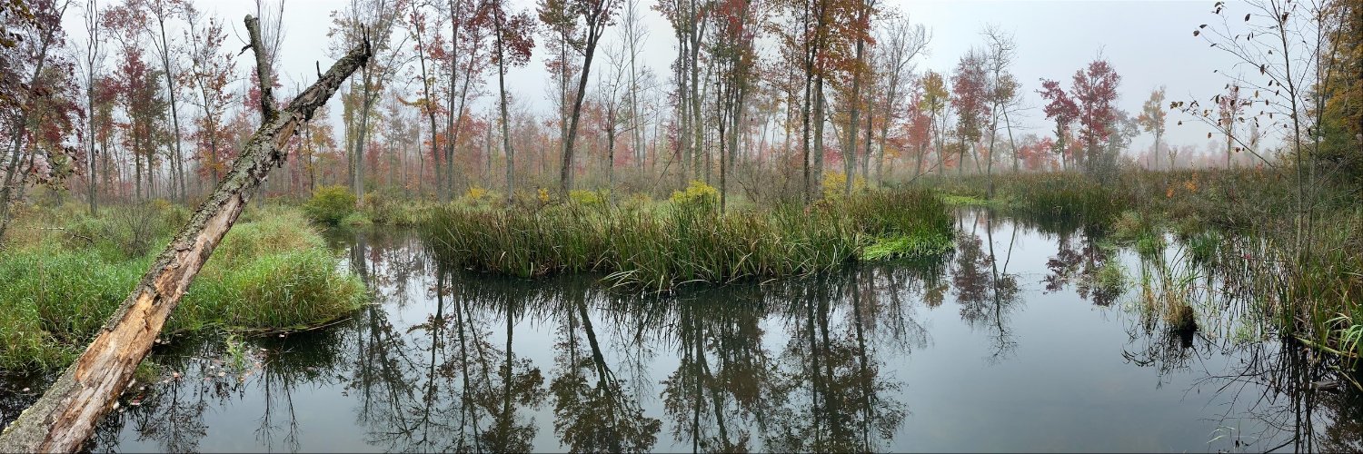 QueensburyRec's profile banner image