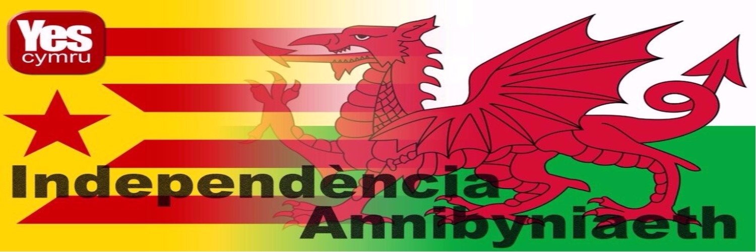 Aled Morgan 🏴󠁧󠁢󠁷󠁬󠁳󠁿 banner