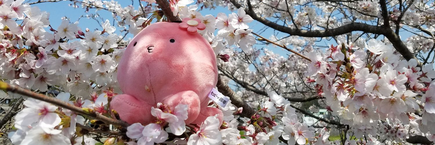 Tw_fare's profile banner image